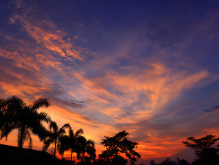 Dramatic Orange Sunset with Palm Trees Silhouettes and Colorful Sky