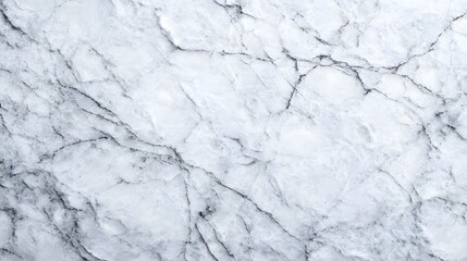 Obraz premium White Marble Texture with Black Veins Close Up background natural