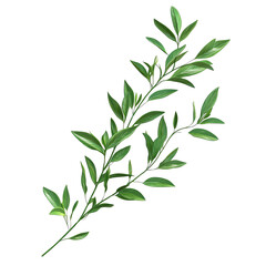 Obraz premium A vibrant green branch with lush leaves, ideal for nature-themed designs and illustrations.