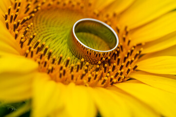 Macro of a ring in a sunflower reflection