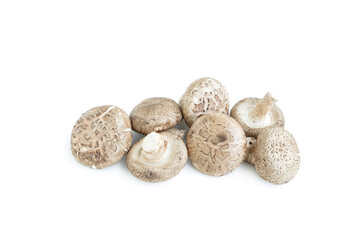Fresh shiitake mushroom isolated on white background, Raw mushroom, Food ingredient