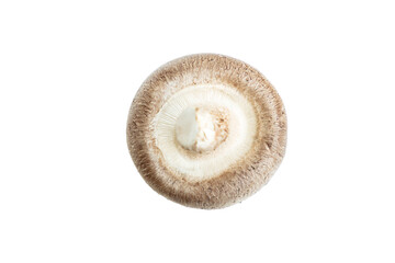 Fresh shiitake mushroom isolated on white background, Raw mushroom, Food ingredient