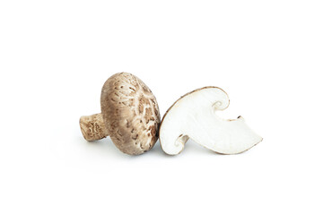 Fresh shiitake mushroom isolated on white background, Raw mushroom, Food ingredient