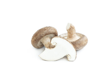 Fresh shiitake mushroom isolated on white background, Raw mushroom, Food ingredient