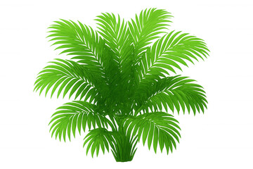 Obraz premium Green palm tree with vivid foliage, standing against transparent backdrop, enhancing graphic design versatility