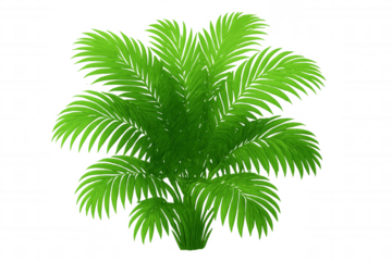 Green palm tree with vivid foliage, standing against transparent backdrop, enhancing graphic design versatility