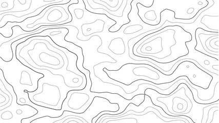 Seamless abstract topography terrain elevation pattern with white contour vector lines and mapping grids, modern geographic background for posters, branding, digital design, and home decor projects