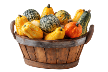 A harvest basket showcasing mixed seasonal squashes in a rustic container, isolated on transparent background.