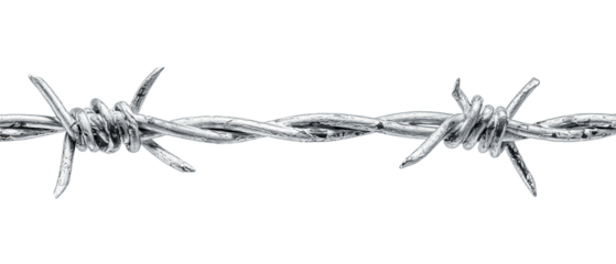 High-contrast barbed wire strip with evenly spaced barbs, tightly cropped, isolated on transparent background.
