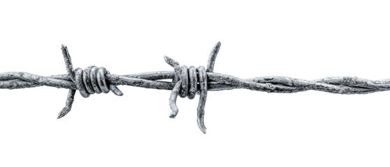 High-contrast barbed wire strip with evenly spaced barbs, tightly cropped, isolated on transparent background.
