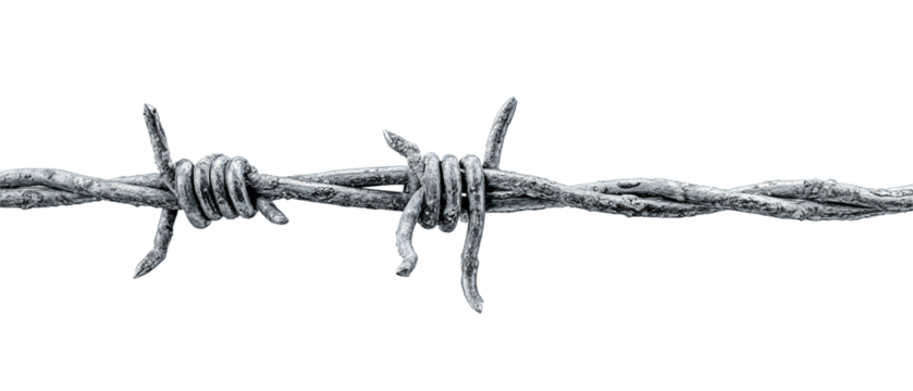 High-contrast barbed wire strip with evenly spaced barbs, tightly cropped, isolated on transparent background.
