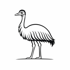 Emu bird simple black line art image, Black bold outline vector icon, Bird vector illustration