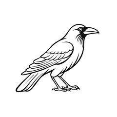 Crow bird simple black line art image, Black bold outline vector icon, Bird vector illustration