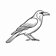 Crow bird simple black line art image, Black bold outline vector icon, Bird vector illustration