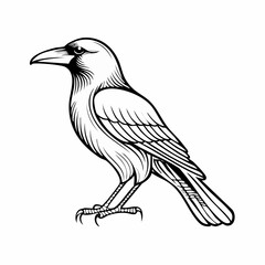 Naklejka premium Crow bird simple black line art image, Black bold outline vector icon, Bird vector illustration