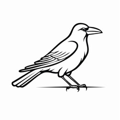 Crow bird simple black line art image, Black bold outline vector icon, Bird vector illustration