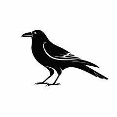 Crow bird black silhouette vector, Simple silhouette Design vector icon with white background.