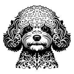bichon frise dog black silhouette vector with white background
