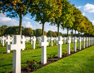 Rows of white crosses in a cemetery (2)