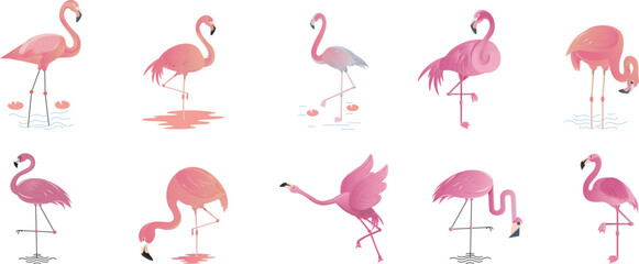 Stylish Flamingo Species Icons and Vector Bundle Set perfect for crafts, prints, and creative design projects.