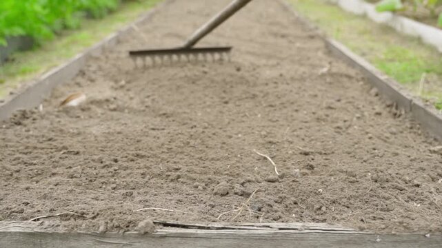 Slow-motion shooting of leveling the appearance of the garden bed with a rake