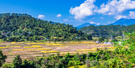 Panoramic views of Someshwar valley in Kumaon region of Uttarakhand and the beautiful terrace farms in the region. 