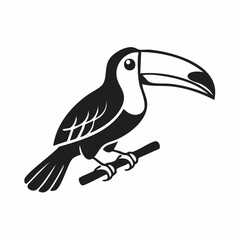 Toucan bird simple black line art image, Black bold outline vector icon, Bird vector illustration