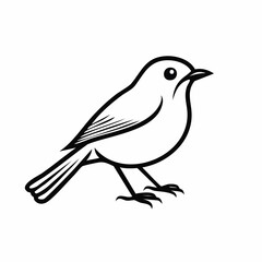 Robin bird simple black line art image, Black bold outline vector icon, Bird vector illustration