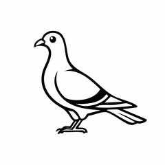 Pigeon bird simple black line art image, Black bold outline vector icon, Bird vector illustration