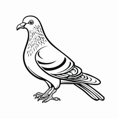 Pigeon bird simple black line art image, Black bold outline vector icon, Bird vector illustration