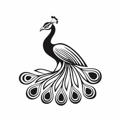 Peacock bird simple black line art image, Black bold outline vector icon, Bird vector illustration