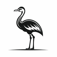 Ostrich bird simple black line art image, Black bold outline vector icon, Bird vector illustration