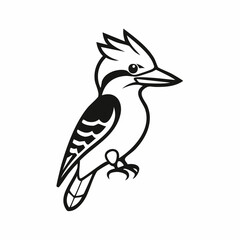 Kookaburra bird simple black line art image, Black bold outline vector icon, Bird vector illustration