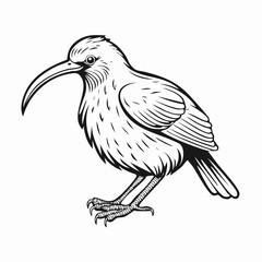 Kiwi bird simple black line art image, Black bold outline vector icon, Bird vector illustration