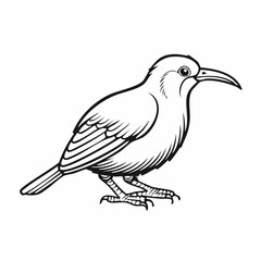 Kiwi bird simple black line art image, Black bold outline vector icon, Bird vector illustration