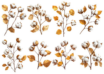 Elegant Cotton Flower Arrangement with Golden Leaves for Decorative Use