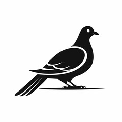 Dove bird black silhouette vector, Simple silhouette Design vector icon with white background. Wild bird
