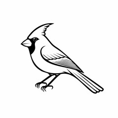 Cardinal bird simple black line art image, Black bold outline vector icon, Bird vector illustration