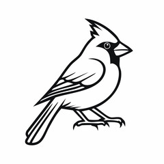 Cardinal bird simple black line art image, Black bold outline vector icon, Bird vector illustration