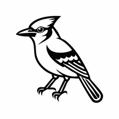 Blue Jay bird simple black line art image, Black bold outline vector icon, Bird vector illustration