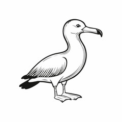 Albatross bird simple black line art image, Black bold outline vector icon, Bird vector illustration