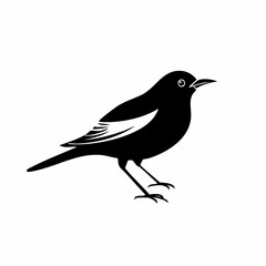 bird black silhouette vector, Simple silhouette Design vector icon with white background. Wild bird