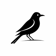 bird black silhouette vector, Simple silhouette Design vector icon with white background. Wild bird
