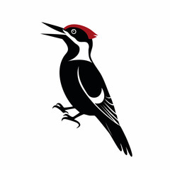 woodpecker bird black silhouette vector, Simple silhouette Design vector icon with white background. Wild bird