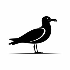 seagull bird black silhouette vector, Simple silhouette Design vector icon with white background. Wild bird
