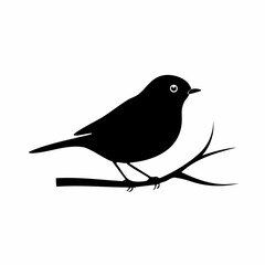 robin bird black silhouette vector, Simple silhouette Design vector icon with white background. Wild bird