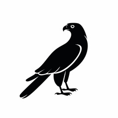 hawk bird black silhouette vector, Simple silhouette Design vector icon with white background. Wild bird