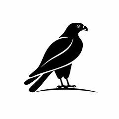 hawk bird black silhouette vector, Simple silhouette Design vector icon with white background. Wild bird