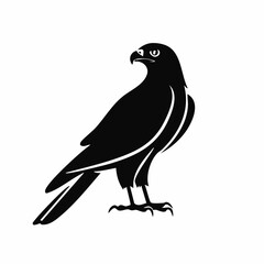 Fototapeta premium hawk bird black silhouette vector, Simple silhouette Design vector icon with white background. Wild bird