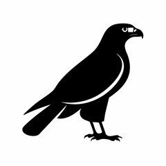 hawk bird black silhouette vector, Simple silhouette Design vector icon with white background. Wild bird